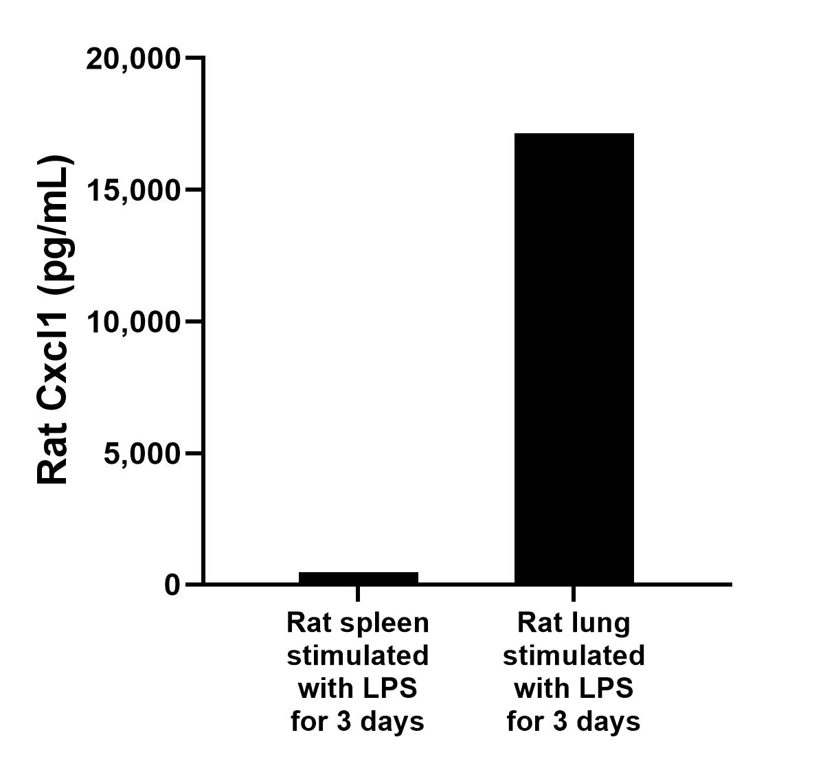 Rat lung (1 lung, 1-2 mm pieces) were cultured for 3 days in RPMI1640 plus 15% fetal bovine serum and stimulated with 5 μg/mL LPS. An aliquot of cell culture supernatants was removed, The cell culture supernatants was assayed for rat Cxcl1 and measured 465.9 pg/mL; Rat spleen (1/2 spleen; 1-2 mm pieces) were cultured for 3 days in 50 mL DMEM supplemented with 10% fetal bovine serum and stimulated with 5 μg/mL LPS. An aliquot of cell culture supernatants was removed, The cell culture supernatants was assayed for rat Cxcl1 and measured 17,149.5 pg/mL.